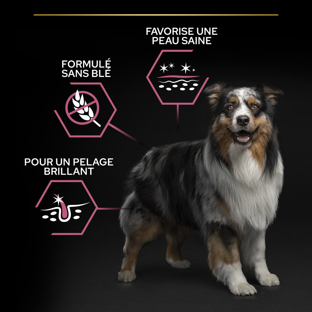  Croquettes Chien Adulte Peau Sensible Super Premium - 14 Kg