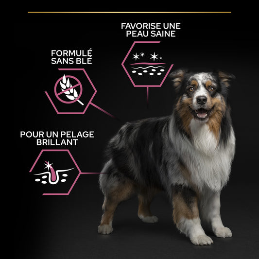 Croquettes Chien Adulte Peau Sensible Super Premium - 14 Kg