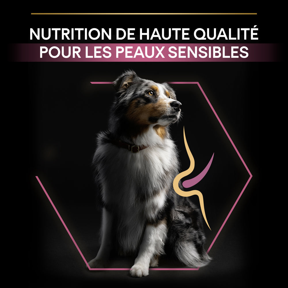  Croquettes Chien Adulte Peau Sensible Super Premium - 14 Kg