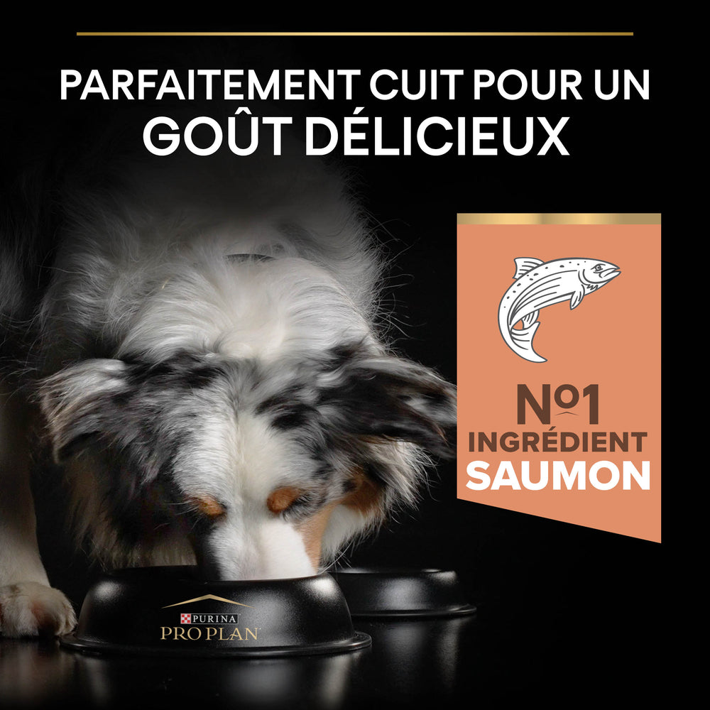  Croquettes Chien Adulte Peau Sensible Super Premium - 14 Kg