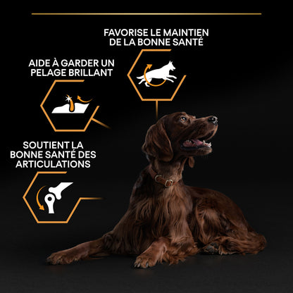  Croquettes Chien Adulte De Grande Taille Super Premium - 14 Kg