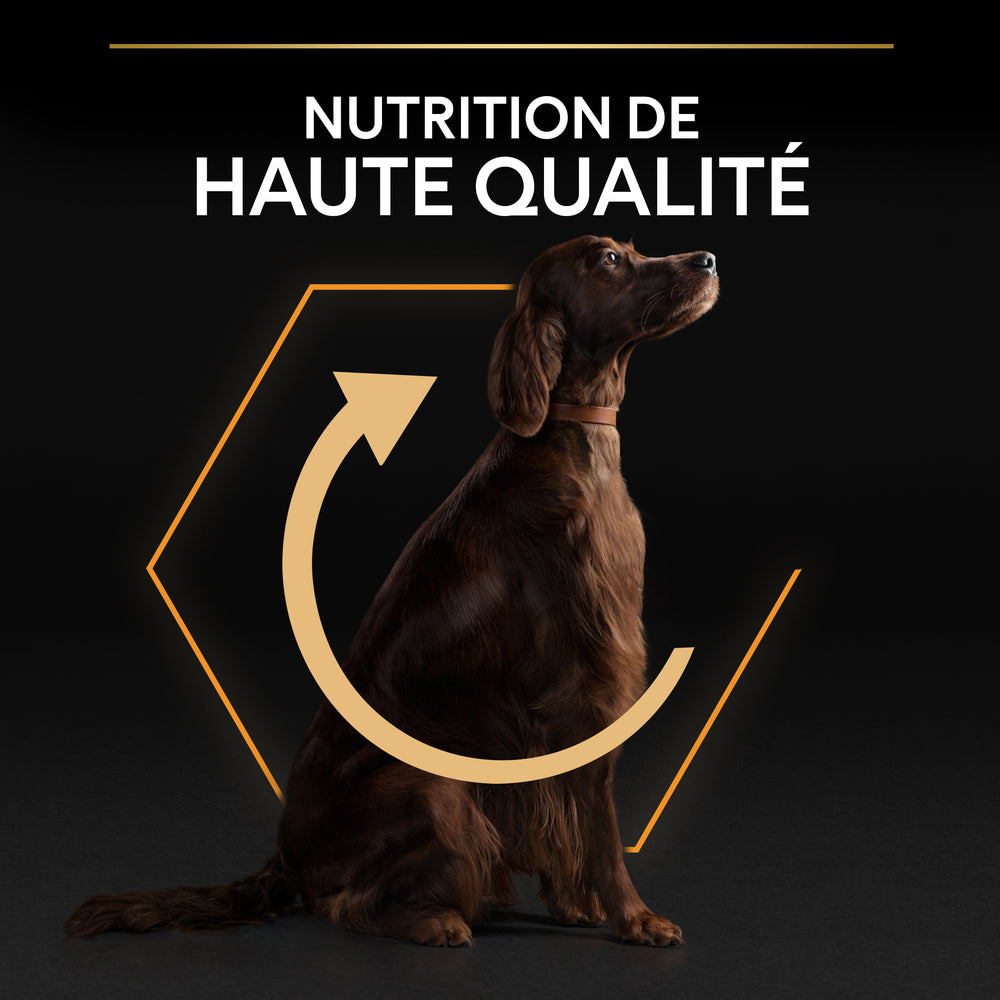  Croquettes Chien Adulte De Grande Taille Super Premium - 14 Kg