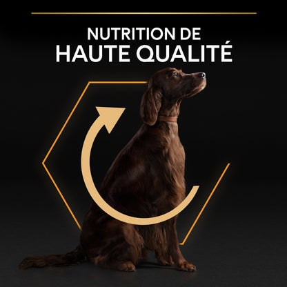  Croquettes Chien Adulte De Grande Taille Super Premium - 14 Kg