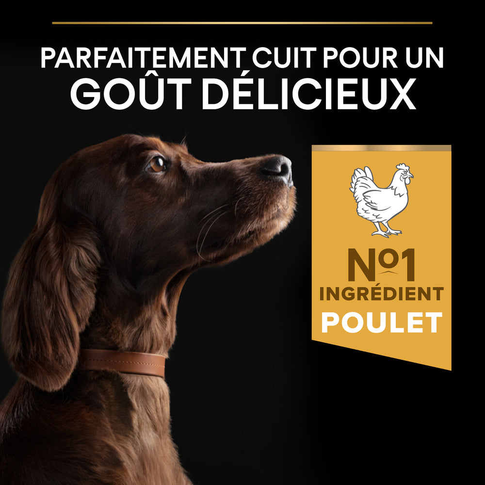  Croquettes Chien Adulte De Grande Taille Super Premium - 14 Kg