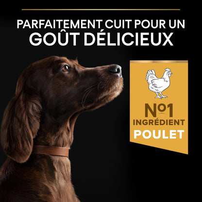  Croquettes Chien Adulte De Grande Taille Super Premium - 14 Kg