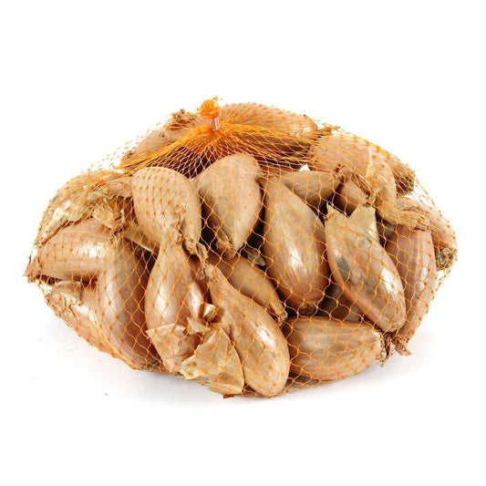  Bulbes D'échalotes 'Longor' En Filet - 250 G