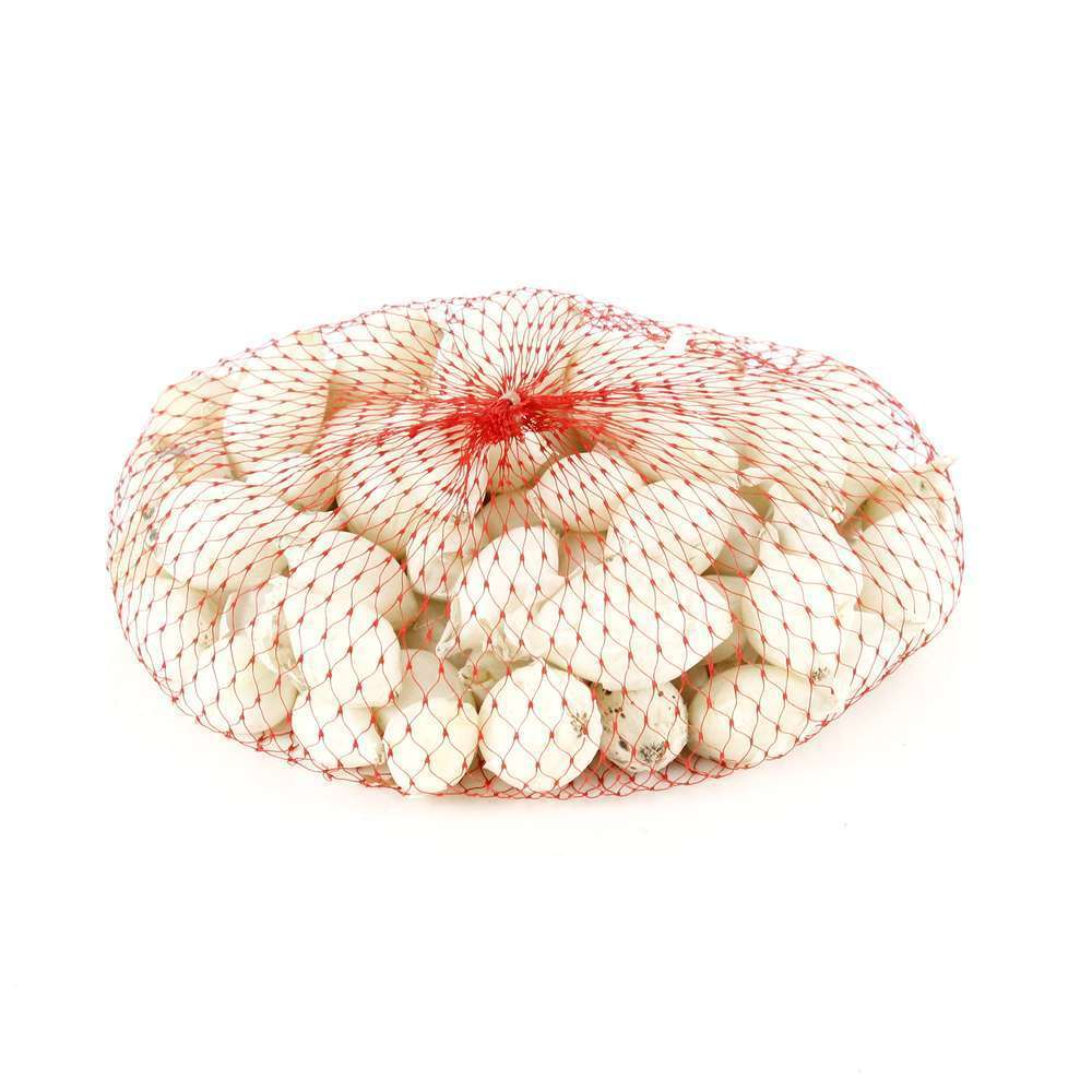  Bulbes D'oignons Blancs 'Snowball' En Filet - 250 G