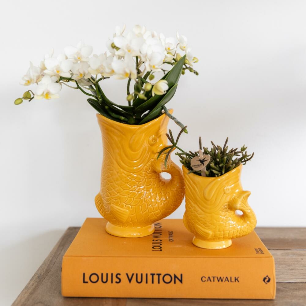  Kolibri Orchids Set D'orchidées Nazaréennes Blanches Et De Succulentes Dans Un Pot à Poisson Orange Décoratif