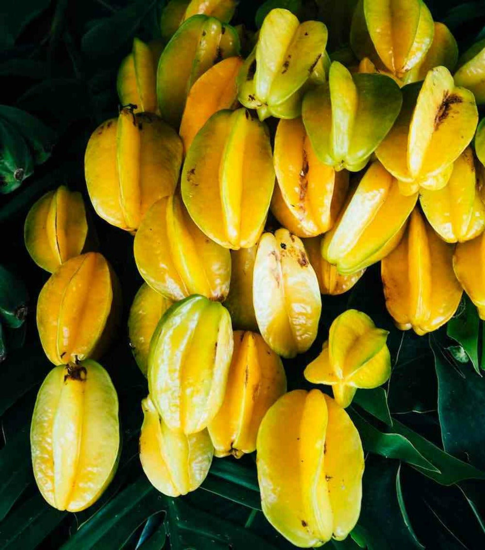  Averrhoa Carambola Adulte (carambolier, Carambole) Pot De 20 Litres -160/180cm