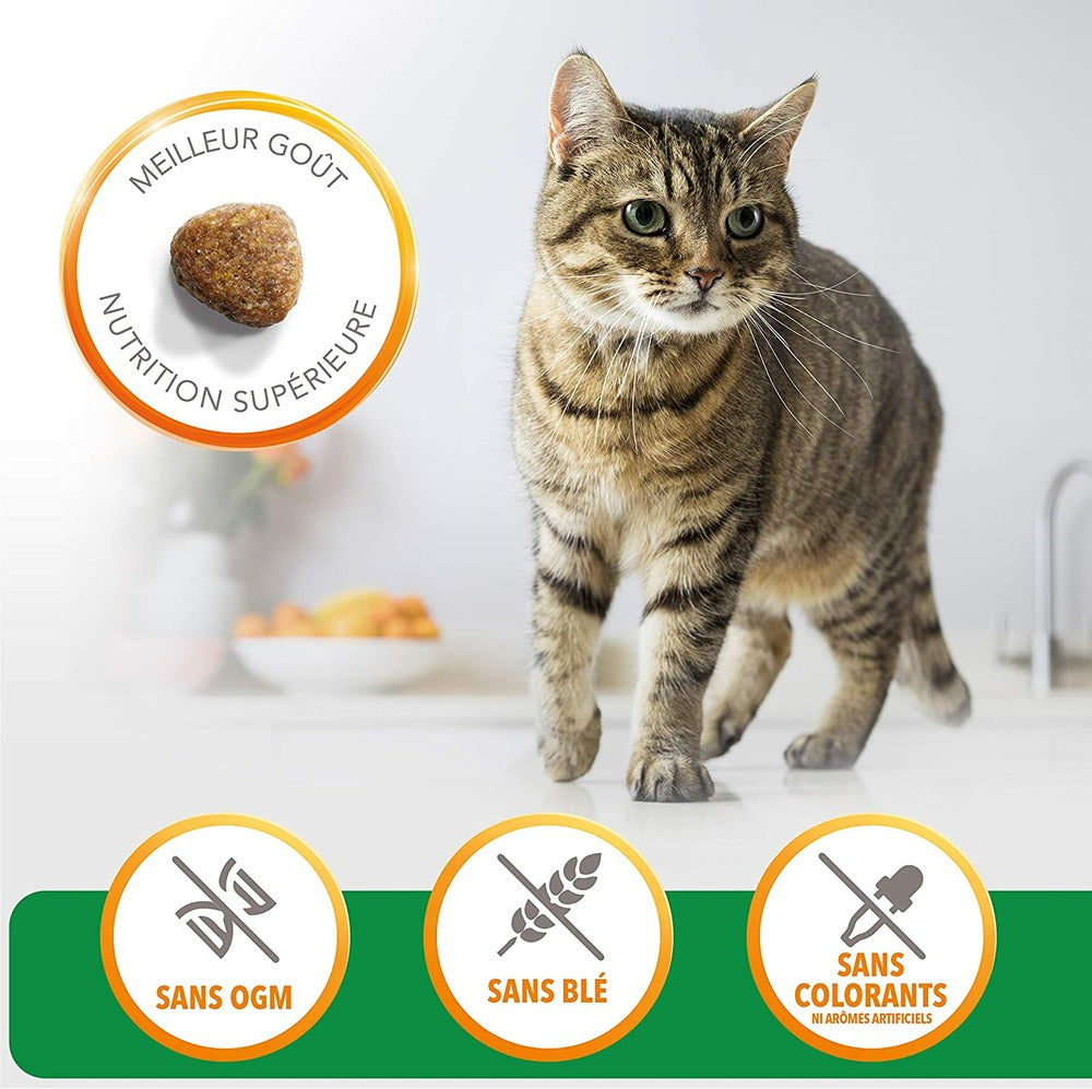 IAMS Croquette Vitality Chat Adult Agneau 1.5kg