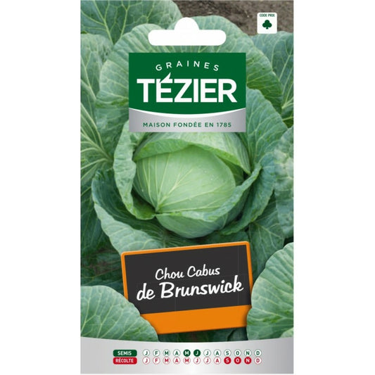  Chou Cabus De Brunswick