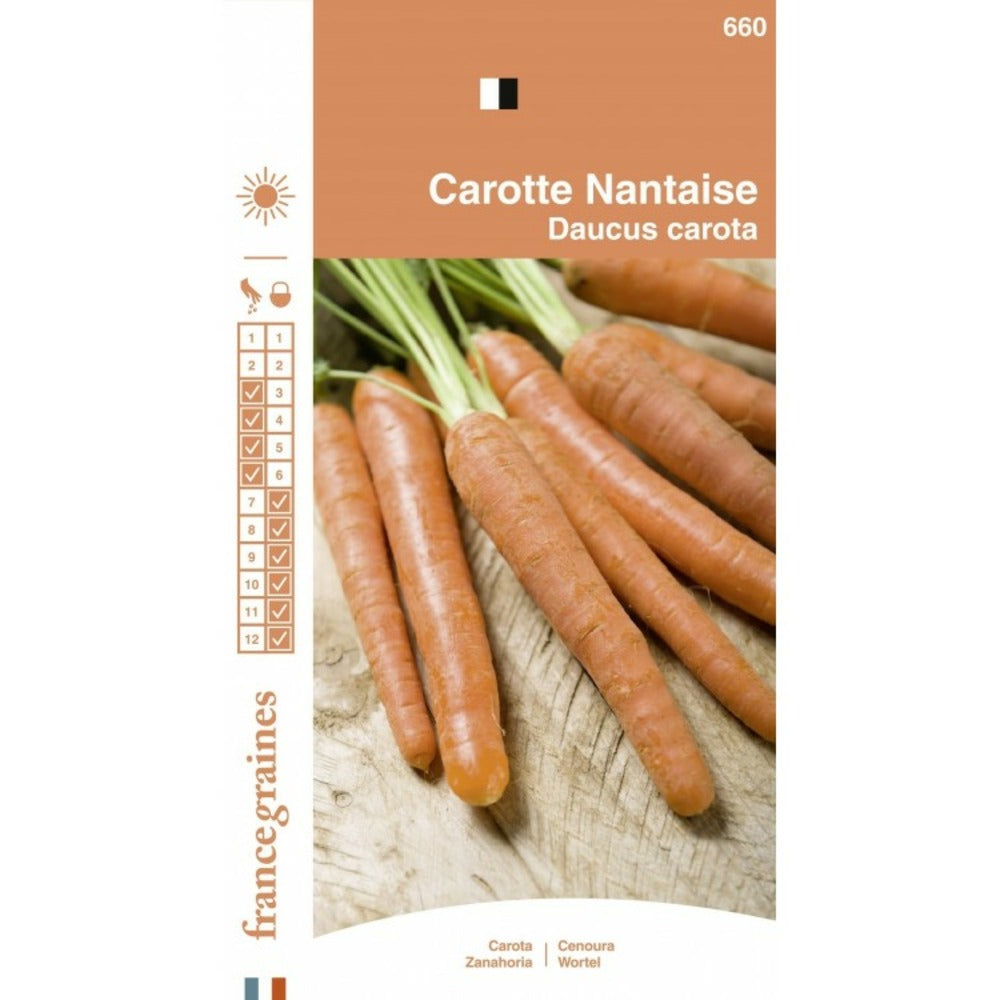  France Graines - Carrote Nantaise