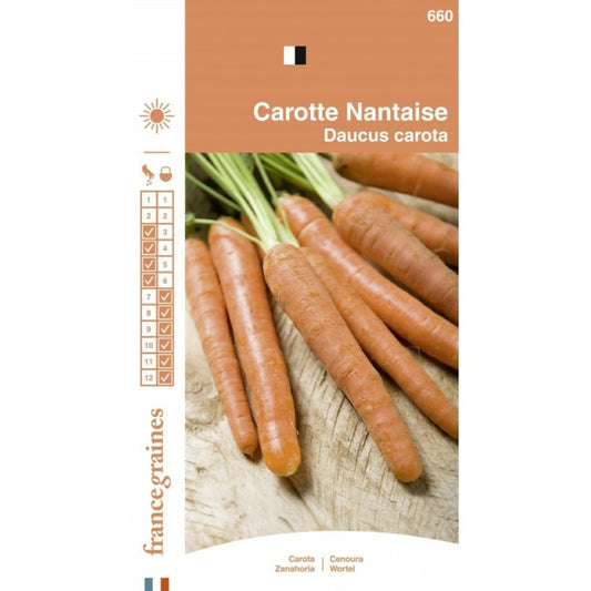  France Graines - Carrote Nantaise