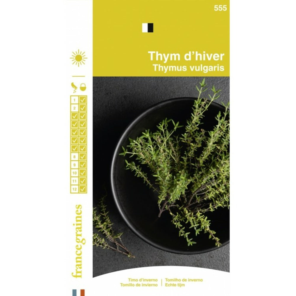  France Graines - Thym D'hiver