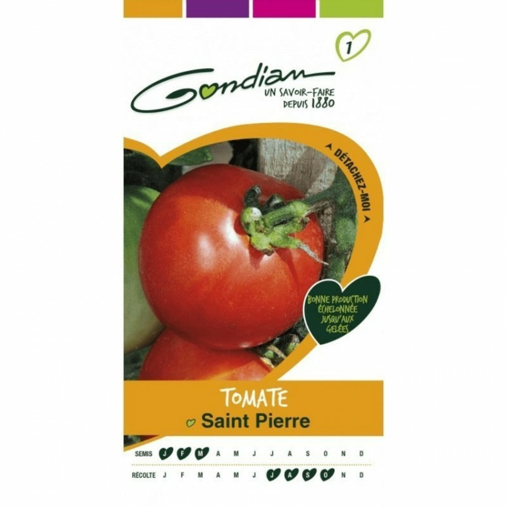  Tomate Saint Pierre