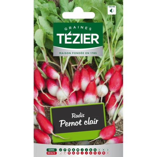  Radis Pernot Clair