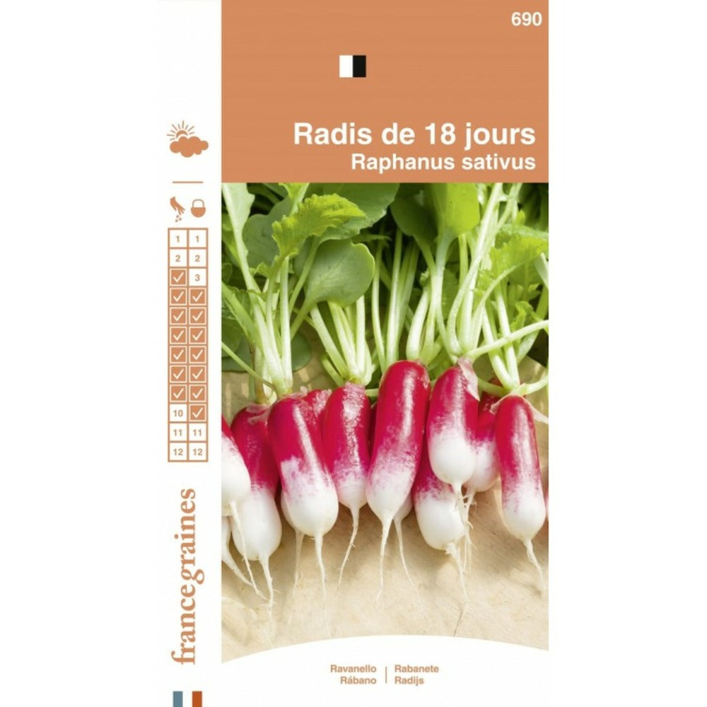  France Graines - Radis 18 Jours
