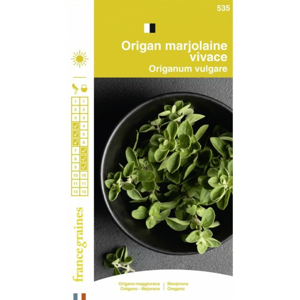 France Graines - Origan Marjolaine Vivace
