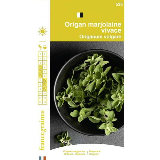  France Graines - Origan Marjolaine Vivace