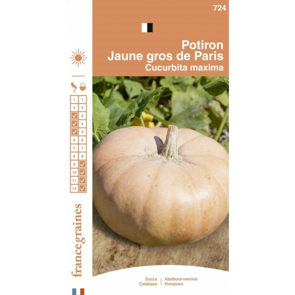  France Graines - Potiron Jaune Gros De Paris