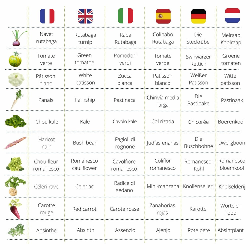 Cultivea Le Kit Prêt à Pousser Petit Potager Saveurs Anciennes - Herbes Aromatiques, Tomates, Chou Kale, Carotte