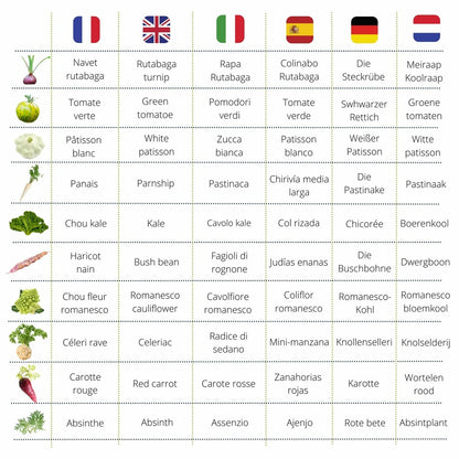  Cultivea Le Kit Prêt à Pousser Petit Potager Saveurs Anciennes - Herbes Aromatiques, Tomates, Chou Kale, Carotte