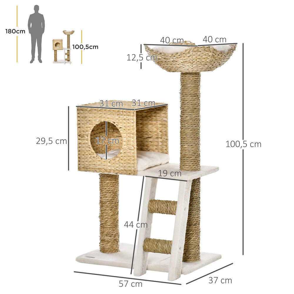 PawHut Arbre à Chat Style Cosy Chic Griffoirs Quenouille Beige - 57l X 37l X 100,5h Cm
