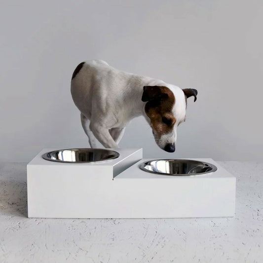  Gora - Set De 2 Gamelles Chien Surélevées En Acier, Socle étage En Métal Blanc