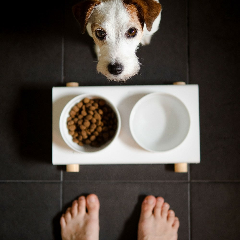  Gypso - Set De 2 Gamelles En Céramique Surélevées Pour Petits Chien / Chat