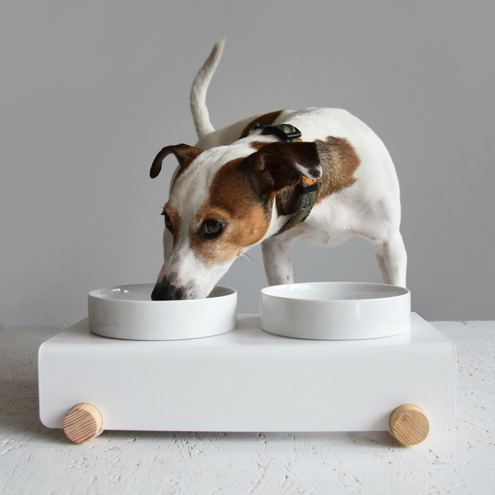  Gypso - Set De 2 Gamelles En Céramique Surélevées Pour Petits Chien / Chat