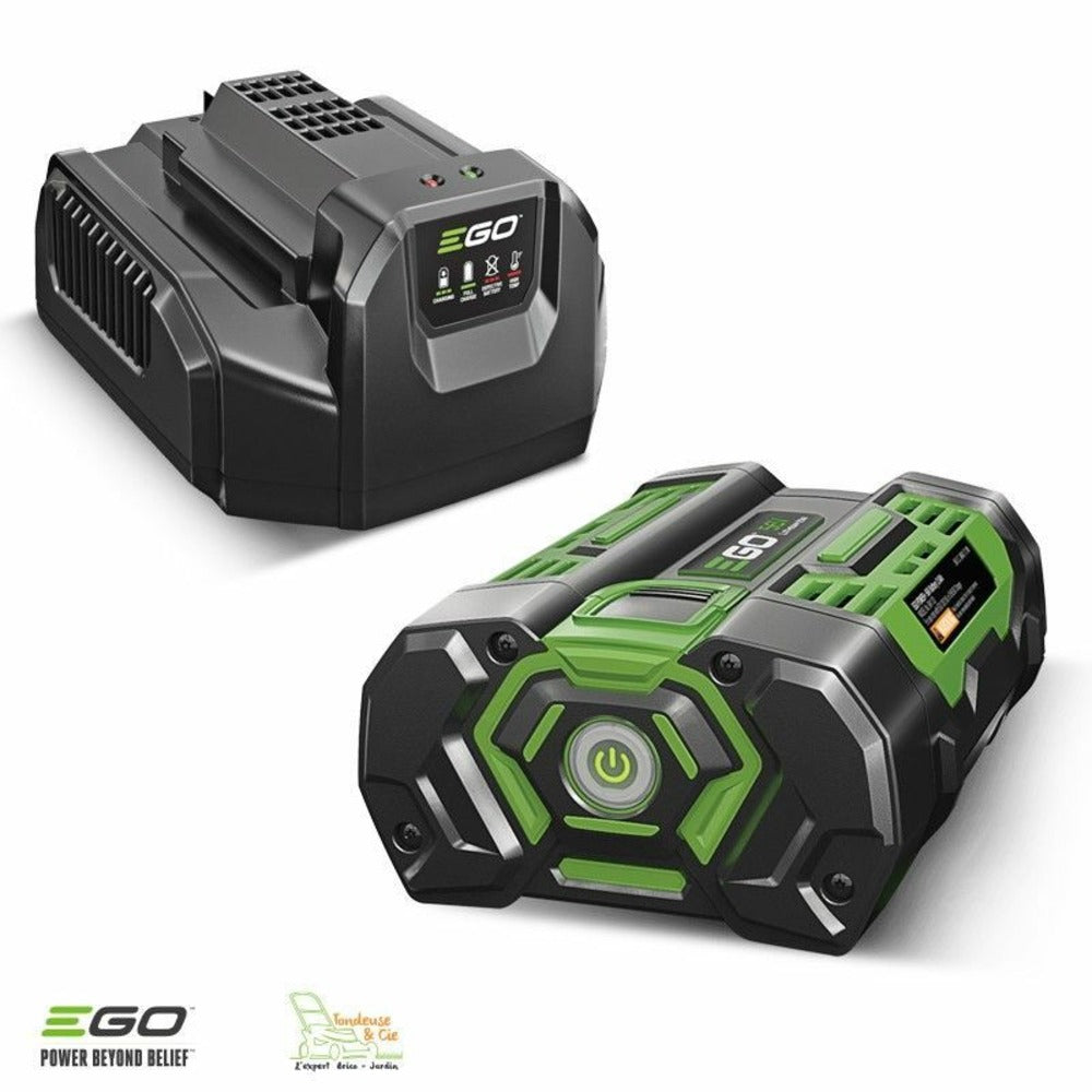  Pack élagage Entretien Arbres Et Haies Avec Moteur Chargeur Batterie 56v Ego