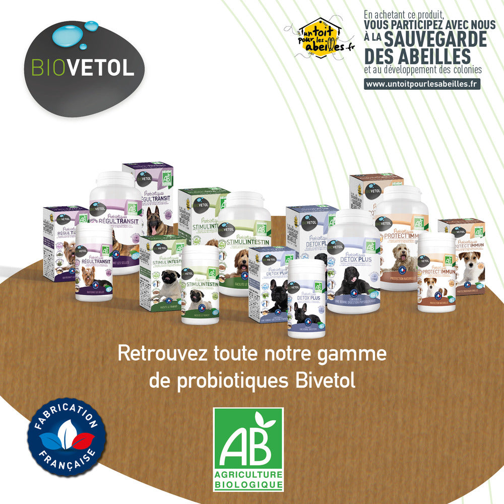  Probiotique Chien Bio Regul'transit-complément Alimentaire Chien - 10 Kg - 32 G
