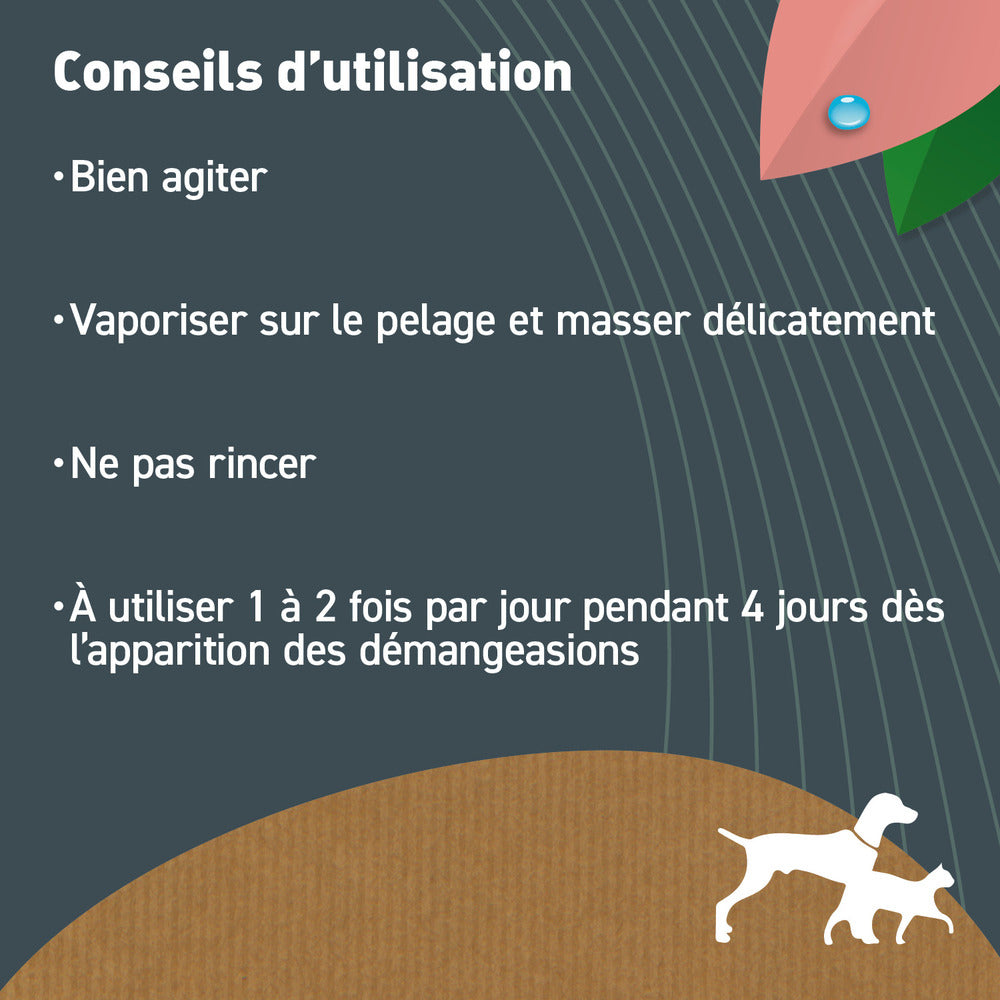  Lotion Anti-démangeaisons Chien Chat - Bio Certifié Ecocert- Tous Pelages- 240ml