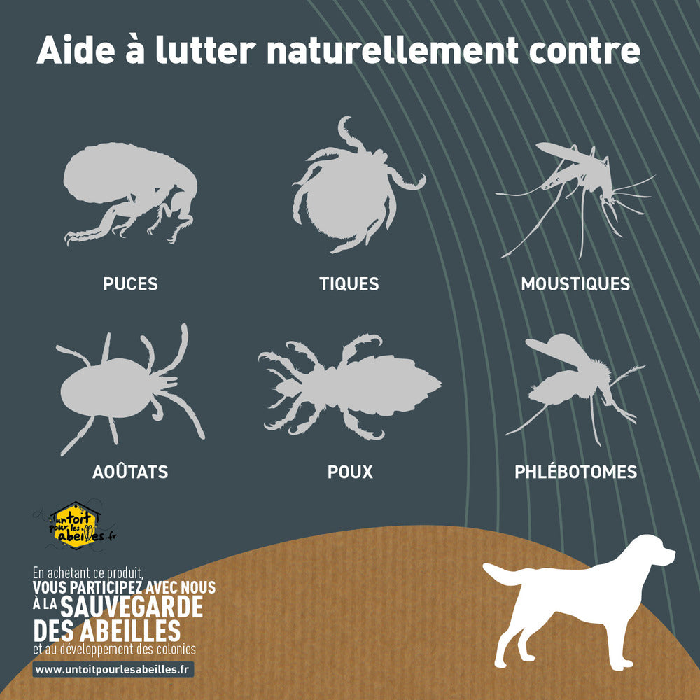 Pipettes Anti Puces Moyen Chien Bio - Certifié Ecocert 12 Pipettes De 3ml