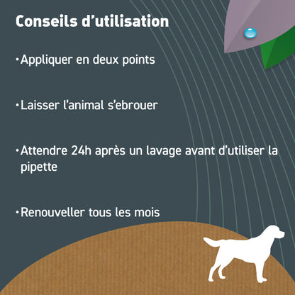  Pipettes Anti Puces Moyen Chien Bio - Certifié Ecocert 12 Pipettes De 3ml