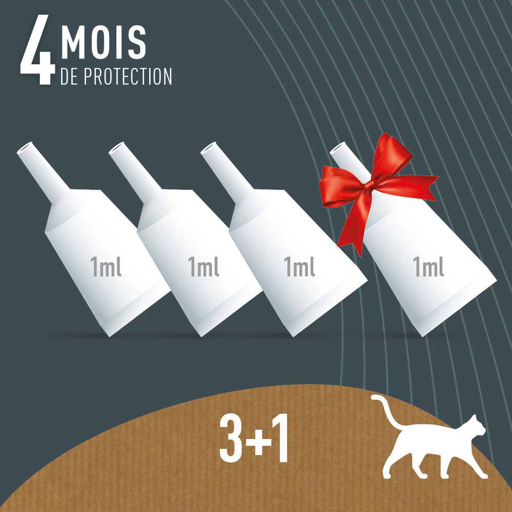  Pipettes Anti Puces Chat/chaton Bio - Certifié Ecocert - 4 Pipettes* 1ml