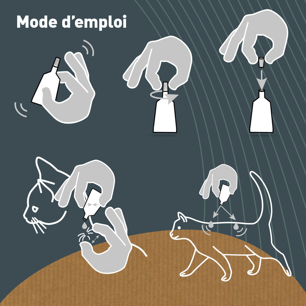  Pipettes Anti Puces Chat/chaton Bio - Certifié Ecocert - 6 Pipettes* 1ml