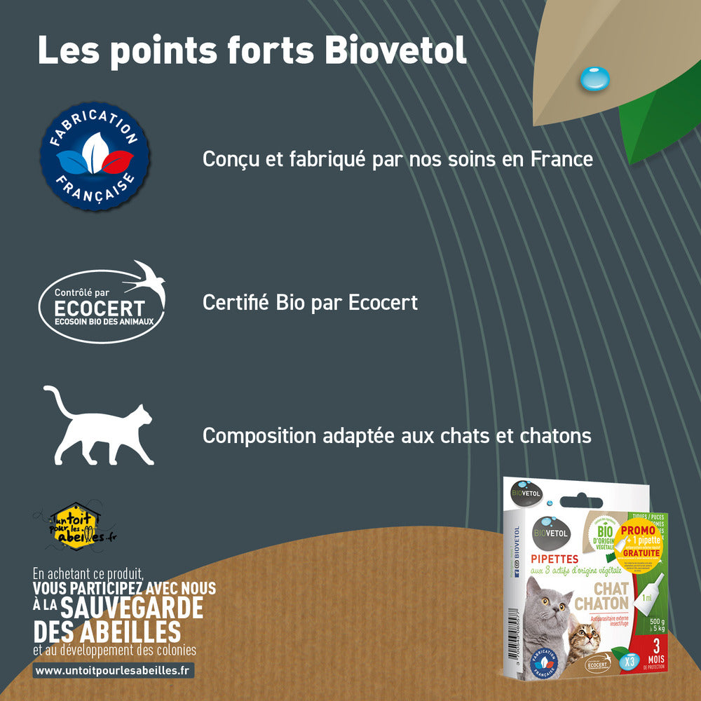  Pipettes Anti Puces Chat/chaton Bio - Certifié Ecocert - 6 Pipettes* 1ml