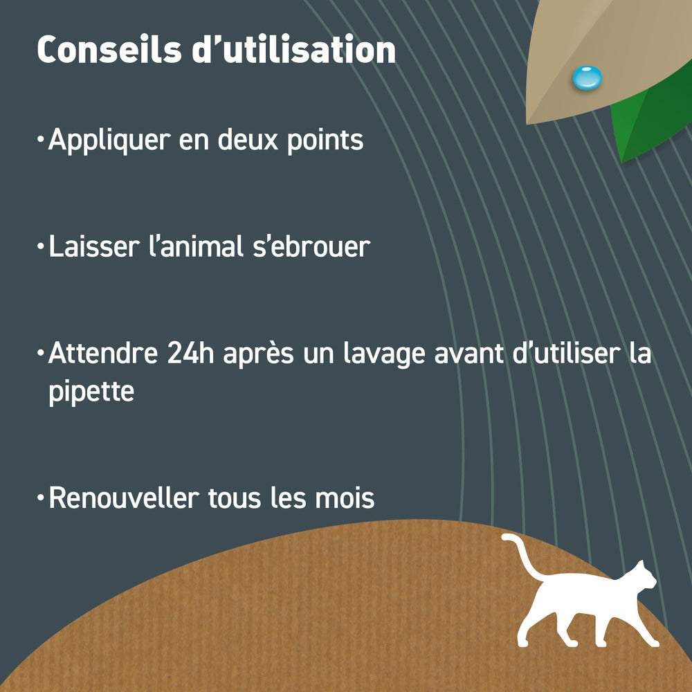  Pipettes Anti Puces Chat/chaton Bio - Certifié Ecocert - 6 Pipettes* 1ml