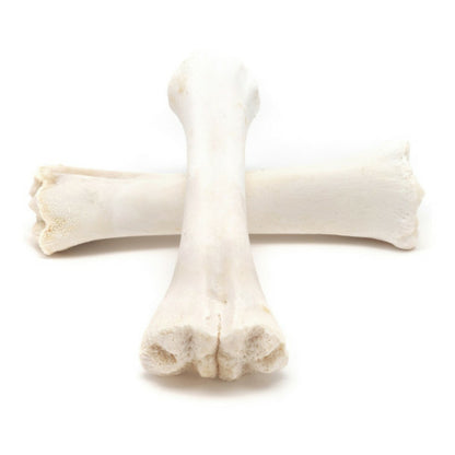 Gloria Snack Pour Chiens Os Calcium 20 Unités