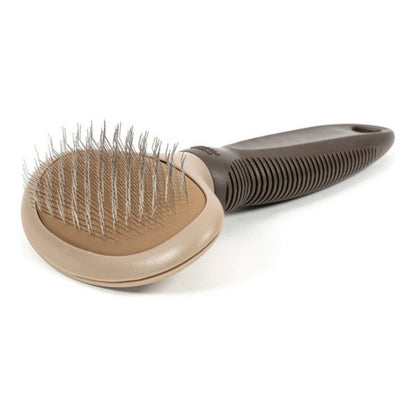 Gloria Brosse Pour Carder Oblongue