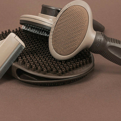Gloria Brosse Pour Carder Oblongue