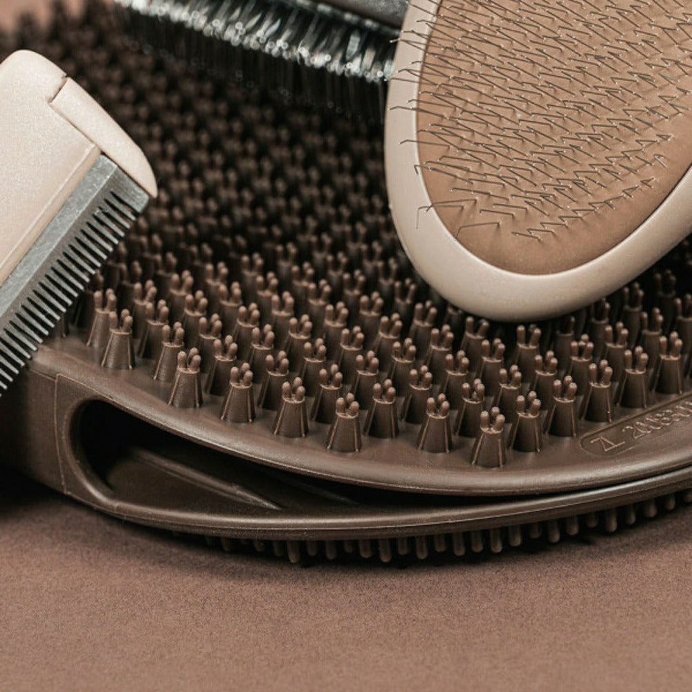 Gloria Brosse Pour Carder Oblongue