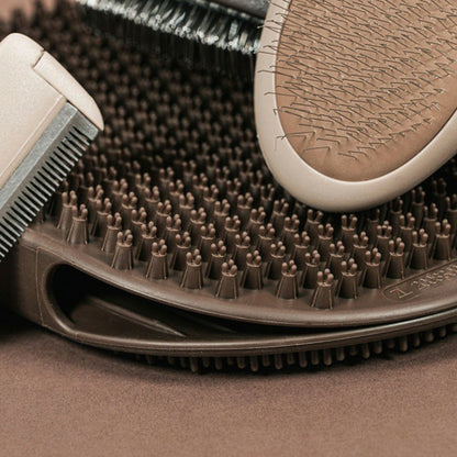 Gloria Brosse Pour Carder Oblongue
