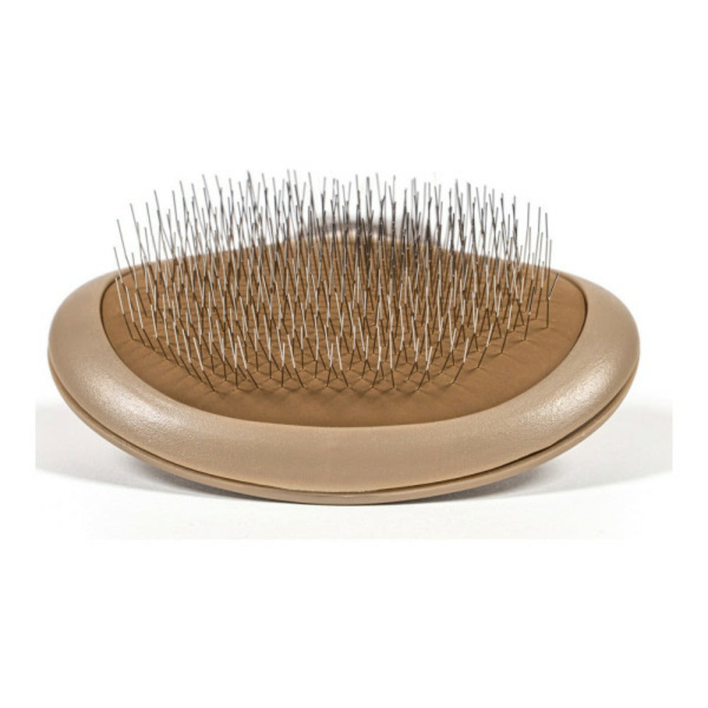Gloria Brosse Pour Carder Oblongue