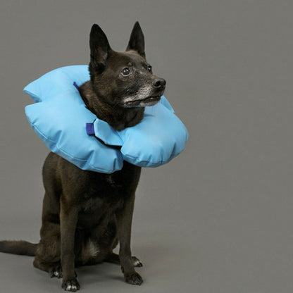  Collier De Récupération Pour Chiens Air-o Bleu Gonflable (38-50 Cm)