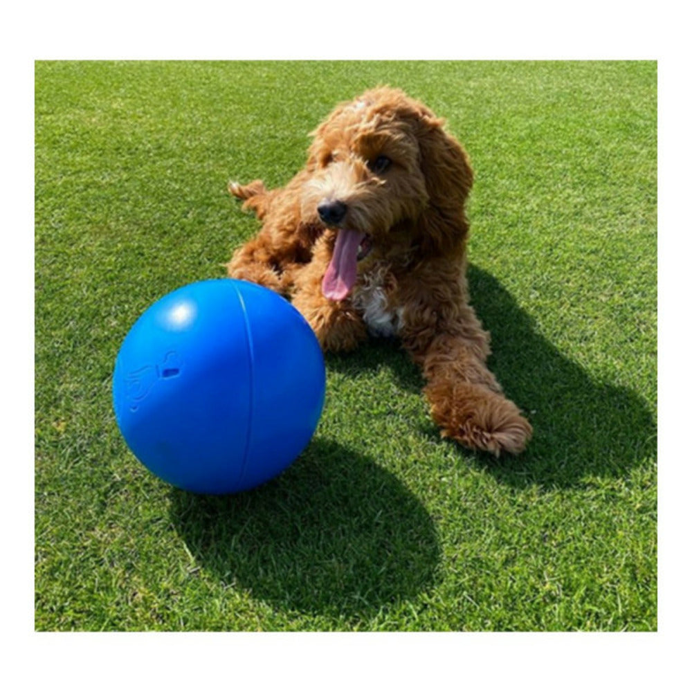 Company Of Animals Jouet Pour Chien Boomer Bleu (100mm)