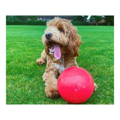 Company Of Animals Jouet Pour Chien Boomer Bleu (100mm)