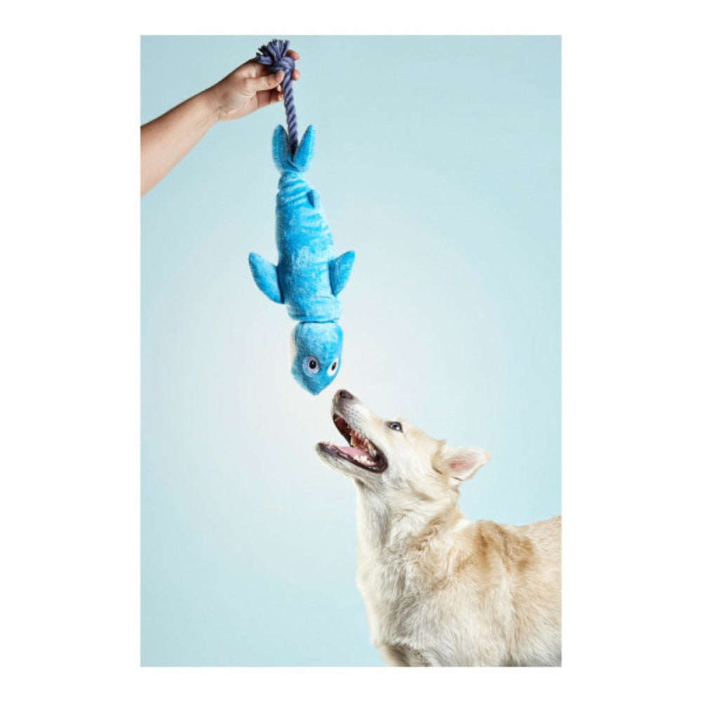 Gloria Jouet Pour Chien Clint Requin
