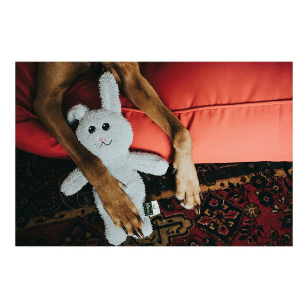 Hunter Jouet Pour Chien Terni Gris Lapin